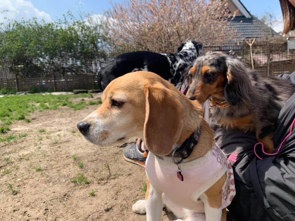 93281460_1956132141197555_7254859976726806528_n